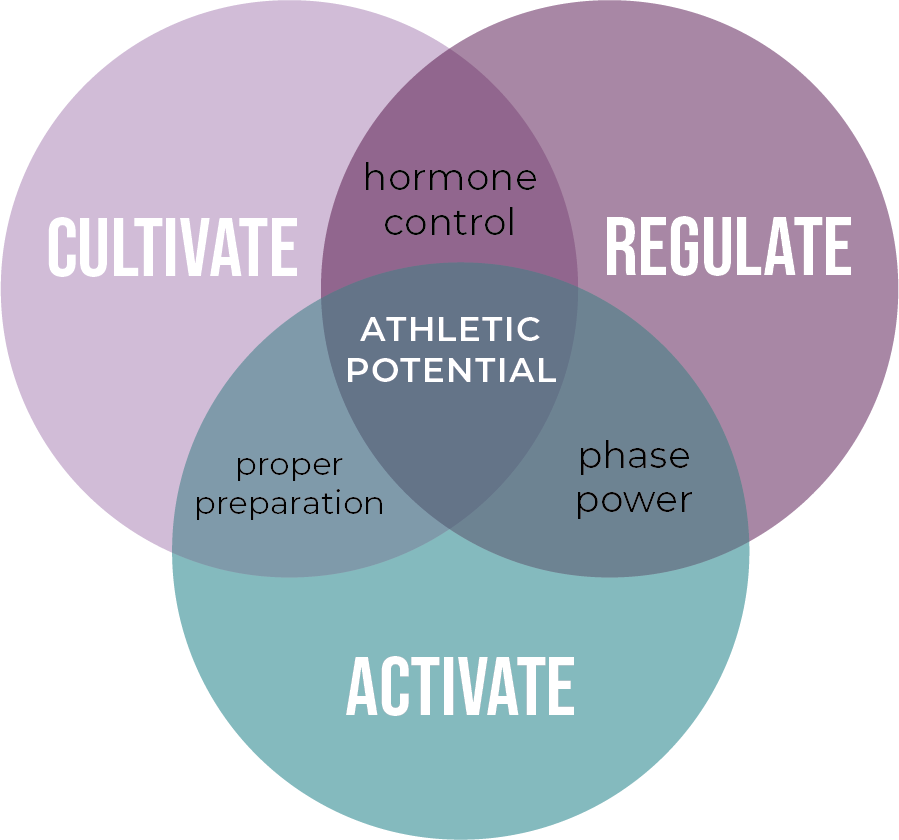 THPC process venn diagram